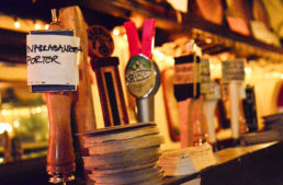 Top List of Craft Beers You didn’t Know