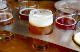 Best Low Calorie Craft Beers
