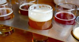 Best Low Calorie Craft Beers